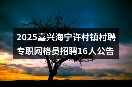 2025嘉兴海宁许村镇村聘专职网格员招聘16人公告 图片