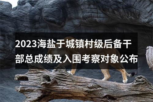 2023海盐于城镇村级后备干部总成绩及入围考察对象公布 图片