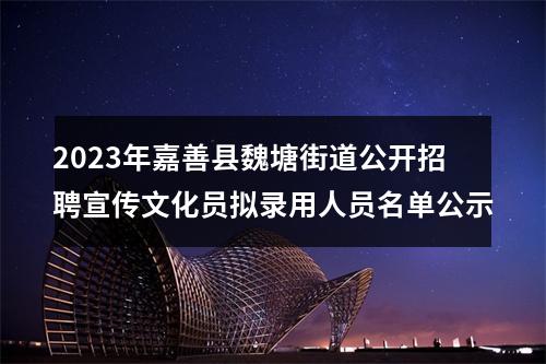 2023年嘉善县魏塘街道公开招聘宣传文化员拟录用人员名单公示 图片