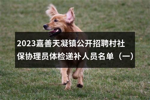 2023嘉善天凝镇公开招聘村社保协理员体检递补人员名单（一） 图片