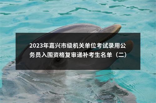 2023年嘉兴市级机关单位考试录用公务员入围资格复审递补考生名单（二） 图片