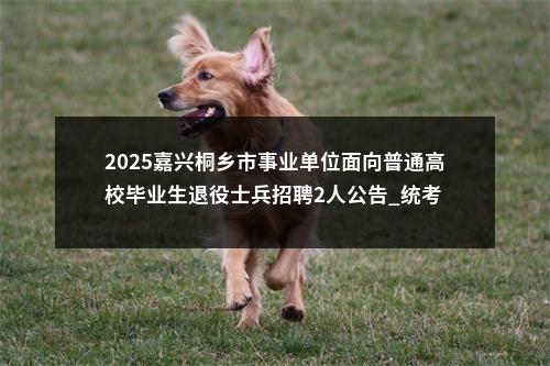 2025嘉兴桐乡市事业单位面向普通高校毕业生退役士兵招聘2人公告_统考 图片