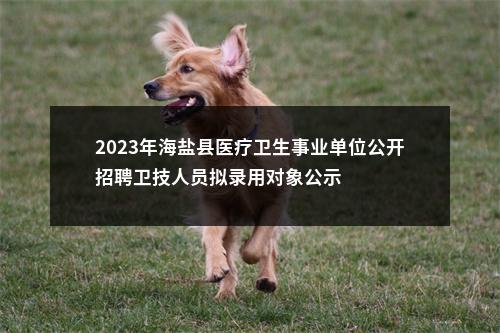 2023年海盐县医疗卫生事业单位公开招聘卫技人员拟录用对象公示 图片