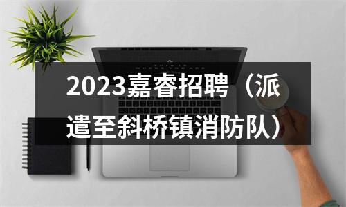 2023嘉睿招聘（派遣至斜桥镇消防队） 图片