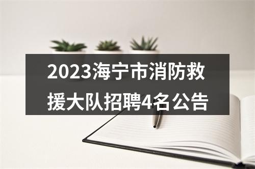2023海宁市消防救援大队招聘4名公告 图片