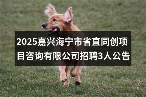 2025嘉兴海宁市省直同创项目咨询有限公司招聘3人公告 图片