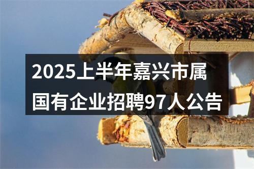 2025上半年嘉兴市属国有企业招聘97人公告 图片