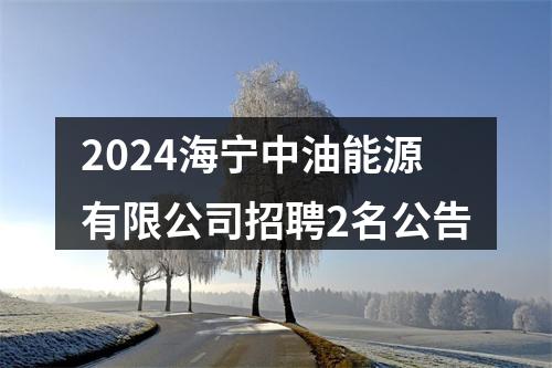 2024海宁中油能源有限公司招聘2名公告 图片
