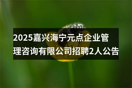 2025嘉兴海宁元点企业管理咨询有限公司招聘2人公告 图片