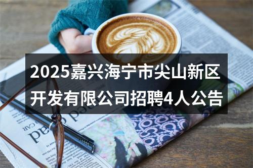 2025嘉兴海宁市尖山新区开发有限公司招聘4人公告 图片