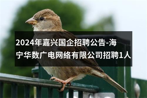 2024年嘉兴国企招聘公告-海宁华数广电网络有限公司招聘1人 图片